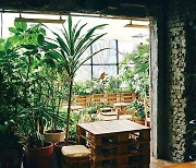 식물원 카페