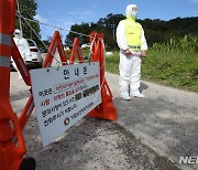 아프리카돼지열병 확산에 관련주 급등