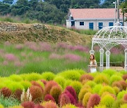 남원시 "축산업 이주 신생마을에 형형색색 아름다운 꽃잔치"