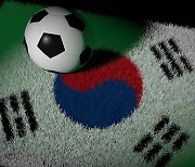 "벨기에 축구 따라하면 한국도 FIFA 랭킹 오를까요?"