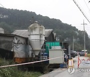 3년 만에 김포·파주서 ASF 동시 발생..경기도 '당혹'(종합)