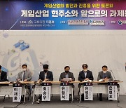 "한국 제외 전세계가 P2E 게임 눈독.. 국내 규제 완화해야"