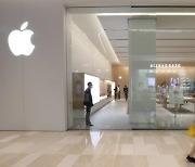 애플 주가 4.9% 폭락에 시총 1200억弗 증발..BoA "내년 실적 전망 하향 가능성"