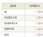 [fnRASSI]오늘의 상한가, WI 30.0% ↑