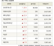 [fnRASSI]장마감, 거래소 상승 종목(SK네트웍스우 29.9% ↑)