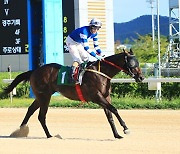 부산경남경마공원 '제2회 아름다운질주 Stakes' 내달 2일 개최