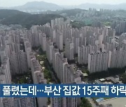 규제 풀렸는데..부산 집값 15주째 하락