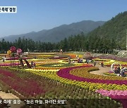 '가을꽃 축제' 절정.."높은 하늘, 화려한 꽃밭"