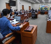 카운터파트너 없는 국감 보험 이슈.."또 공염불" 우려