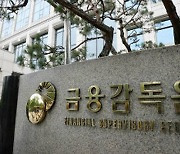 RBC 산 넘으니 금산법..일부 보험사들 '부실금융기관 지정' 위기