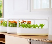 LG전자, 식물생활가전 'LG 틔운 미니' 신제품 선보여