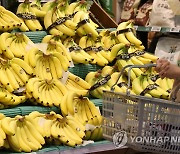 바나나 작년보다 23% 올랐다