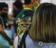 MALAYSIA ANIMALS CAT EXPO