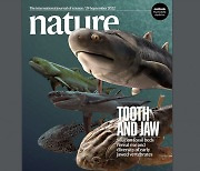 [표지로 읽는 과학] 턱 있는 척추동물 기원, 4억3900만년 전 고대 물고기