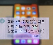 '택배 피싱 문자' 눌렀다 1억 뜯겨..50대가장 극단선택