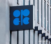 러 포함 OPEC+ 오는 5일 빈에서 대면 정례회의 개최