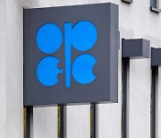 러 포함 OPEC+ 5일 빈서 정례 회의.."최대 규모 감산 저울질"