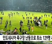 인도네시아 축구장 난동으로 최소 129명 사망