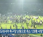 "인도네시아 축구장 난동으로 최소 129명 사망"