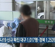 코로나19 신규 확진 대구 1,017명·경북 1,253명