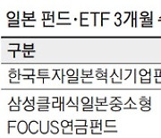 역대급 엔저에 日몰려간 개미들..펀드에 2천억 뭉칫돈