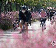 거창창포원의 연분홍빛 자전거 소풍