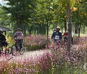 거창창포원의 연분홍빛 자전거 소풍