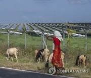 Climate Net Zero Asia