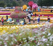 인제 가을꽃축제 찾은 관광객들