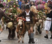 APTOPIX Germany Herdsmen