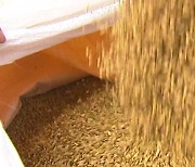 정부, "쌀값 안정 위해 90만 톤 매입"