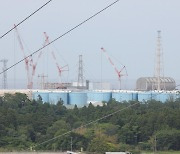 "도쿄전력, 엉터리 선량계로 후쿠시마 오염수 검사..'문제없다' 설명" 