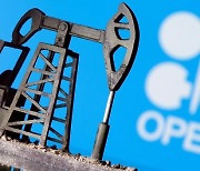 뒷목 잡는 중앙은행..OPEC+ 하루 원유 100만 배럴 감산 검토