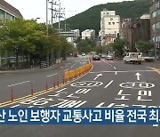 부산 노인 보행자 교통사고 비율 전국 최고