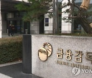 "순환근무·명령휴가제 실효성 제고"..금감원, 내부통제 강화 방안 발표