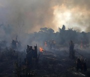 [안녕? 자연] 지난달 아마존 산불 4만 2000건 발생..10년 만에 최악