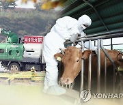 "조류인플루엔자·구제역 막자"..전북 가축전염병 특별방역