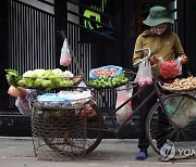 VIETNAM ECONOMY GDP