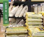 '수확기 쌀 수급안정대책'