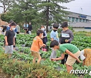 서울 초등학생 27명 전북 학교에 첫 등교..농촌유학생활 시작