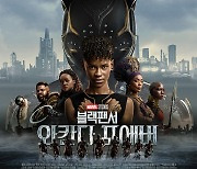 '블랙팬서', 포스터·예고편 공개.."무너진 와칸다, 새 수호자는?"