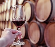 [젊은 투자자 뭉칫돈 몰리는 '와인 투자'] "금·다이아보다 낫다"..증시 급락에도 고급 와인 가격 고공행진