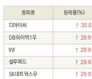 [fnRASSI]오늘의 상한가, 디아이씨 30.0% ↑