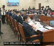 '태풍 책임론' 포스코 경영진·포항시장 국감 소환