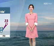 [날씨] 부산 기온 뚝↓, 바람결 '서늘'..내일 아침 17도