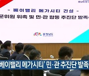 충남도, '베이밸리 메가시티' 민‧관 추진단 발족