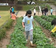 농촌유학 '시동'.."농촌 활력 해법 되나?"