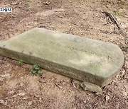 파헤친 토성·넘어진 묘비..군부대 內 문화재 훼손·방치