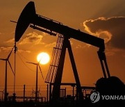 "감산 규모 100만배럴 넘을 수도"..석유·가스주 '급등'