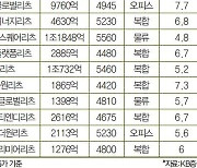 연이은 금리 상승에 믿었던 리츠마저 '시들'.."저가 매수 기회" 시각도